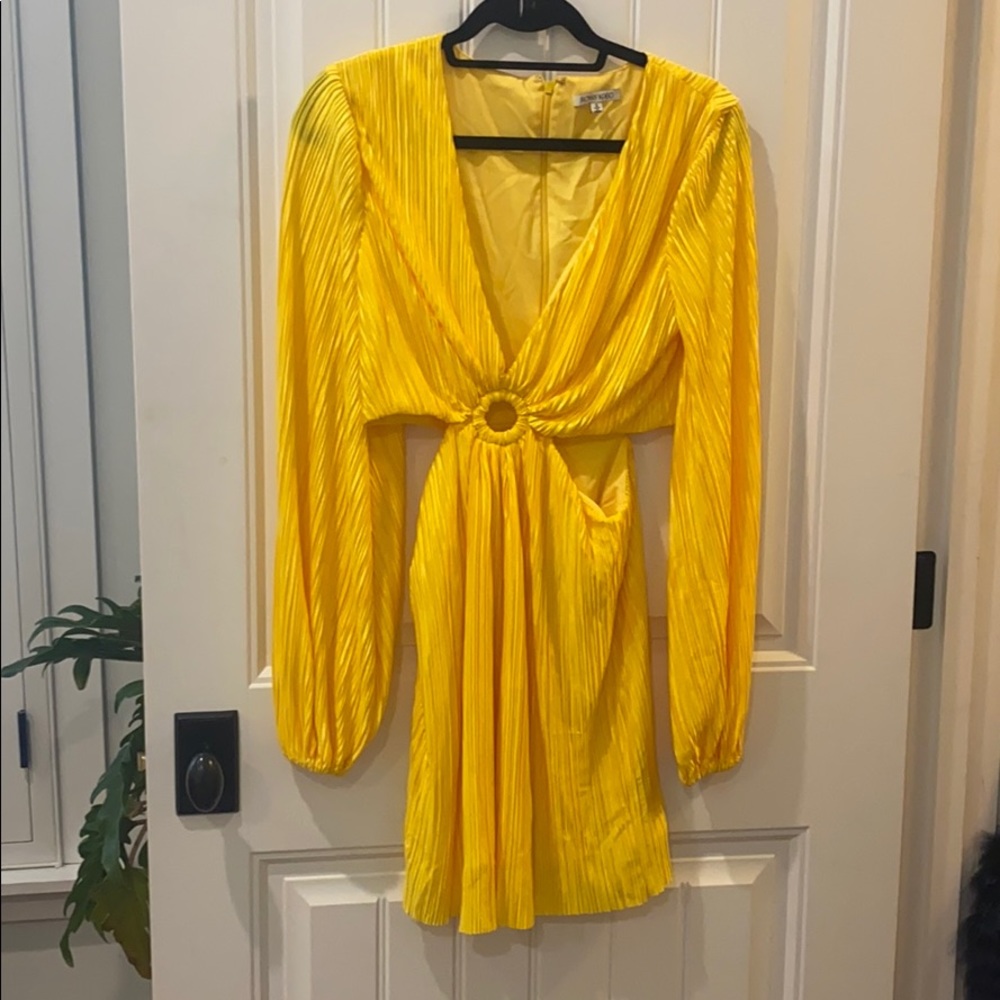 Torn by Ronny kobo dress